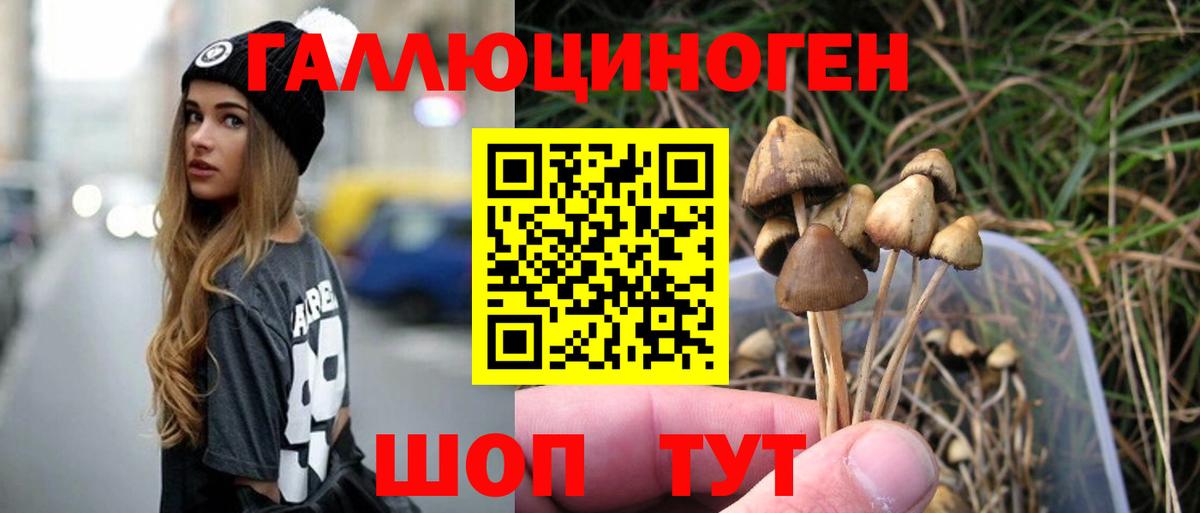 Тавда  Псилоцибиновые грибы Psilocybine cubensis  Вход с VPN 
